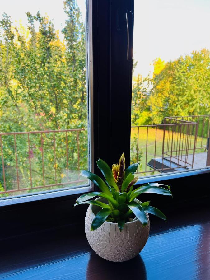 Penzion Villa Ancora Šumperk Habitación foto